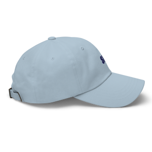 Baseball Cap 2