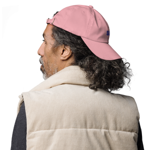 Baseball Cap 2