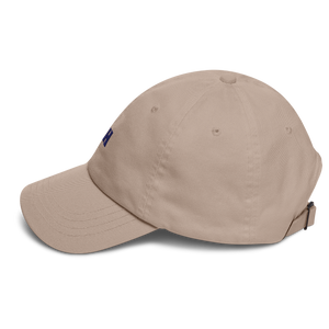 Baseball Cap 2
