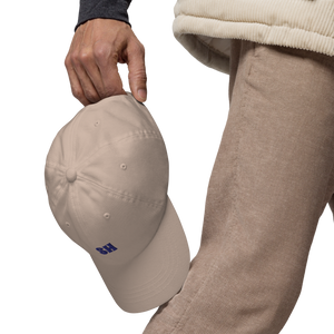 Baseball Cap 2