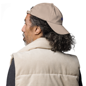 Baseball Cap 2