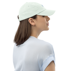 Pastel baseball hat