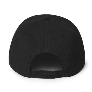 Snapback Hat 2