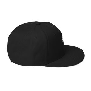 Snapback Hat 2