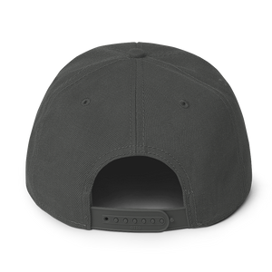 Snapback Hat 2