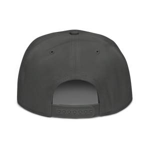 Snapback Hat 2