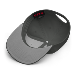 Snapback Hat 2