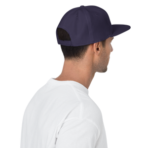Snapback Hat 2