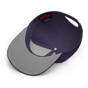Snapback Hat 2