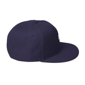 Snapback Hat 2