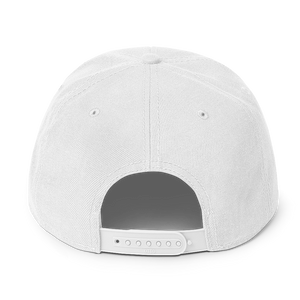 Snapback Hat 2