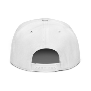 Snapback Hat 2