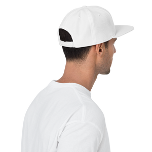 Snapback Hat 2