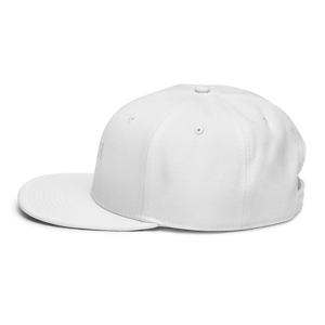 Snapback Hat 2