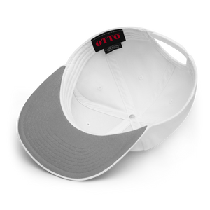 Snapback Hat 2