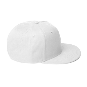 Snapback Hat 2