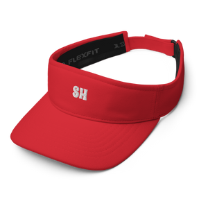Visor
