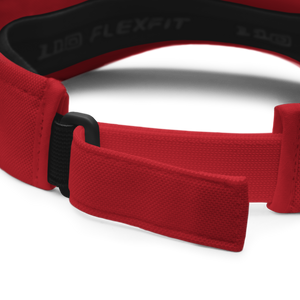 Visor