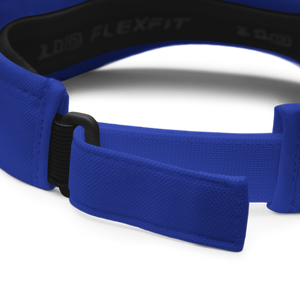Visor