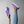 Zapatos de lona sin cordones para mujer - Coastal Purple
